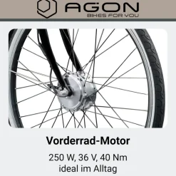 Agon Assist E Bike 28 Zoll Pedelec Damen Elektro Fahrrad 3 Gang Citybike tiefer Einstieg