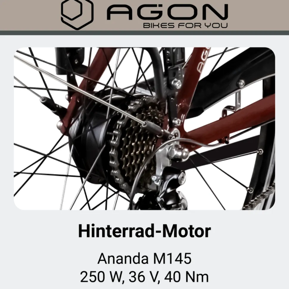 Agon Avesa E Bike Trekkingrad Damen Herren ab 155 cm mit Nabenmotor Pedelec Trekking Fahrrad mit 21 Gang und Beleuchtung StVZO Tiefeinsteiger