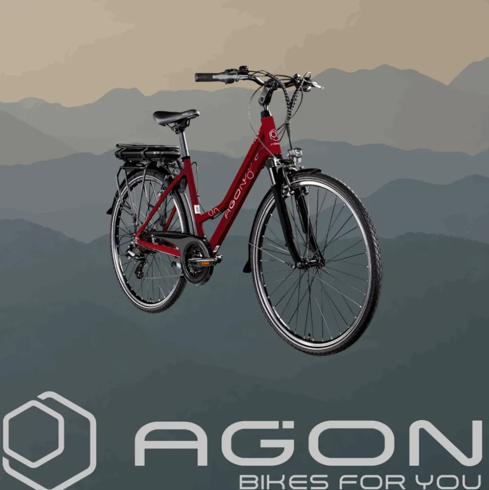 Agon Avesa E Bike Trekkingrad Damen Herren ab 155 cm mit Nabenmotor Pedelec Trekking Fahrrad mit 21 Gang und Beleuchtung StVZO Tiefeinsteiger