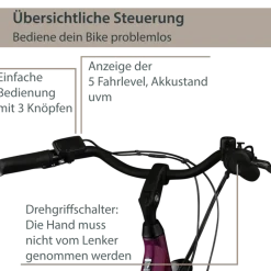 Agon Axis E-Bike 26 Zoll Citybike Damen Herren 140 - 165 cm Pedelec mit Nabenmotor Fahrrad 3 Gang und Beleuchtung StVZO