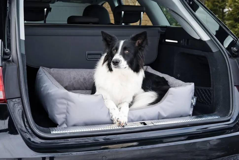 BedDog Hundebett LUPI Hundesofa Hundekissen waschbar