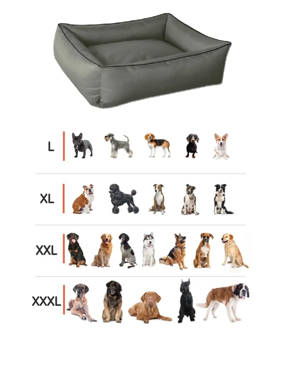 BedDog Hundebett MAX Hundesofa Hundekissen Hundebett mit Rand