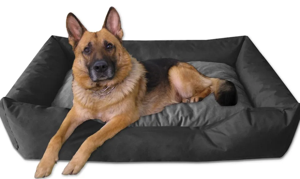 BedDog Hundebett MIMI Hundesofa aus Cordura, Microfaser-Velours Hundekissen