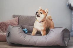 BedDog Hundebett ZARA Hundekissen mit waschbaren Bezug Hundekorb Hundesofa