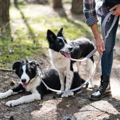 BedDog Hundeleine SPIKE verstellbar in 3 Längen Führleine, Laufleine