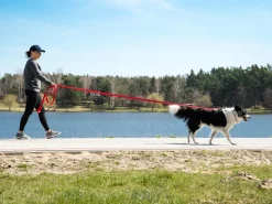 BedDog TYSON Trainingsleine mit Aufbewahrungsbeutel und Handschlaufe