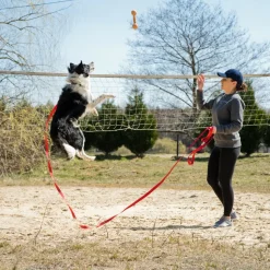 BedDog TYSON Trainingsleine mit Aufbewahrungsbeutel und Handschlaufe