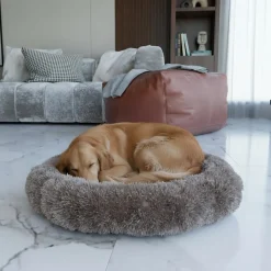 BENNO® Hundebett BALU Donut 60x60x16 cm, waschbar, rutschfest, Polyester, Polypropylen-Füllung, inkl. Kauknochen