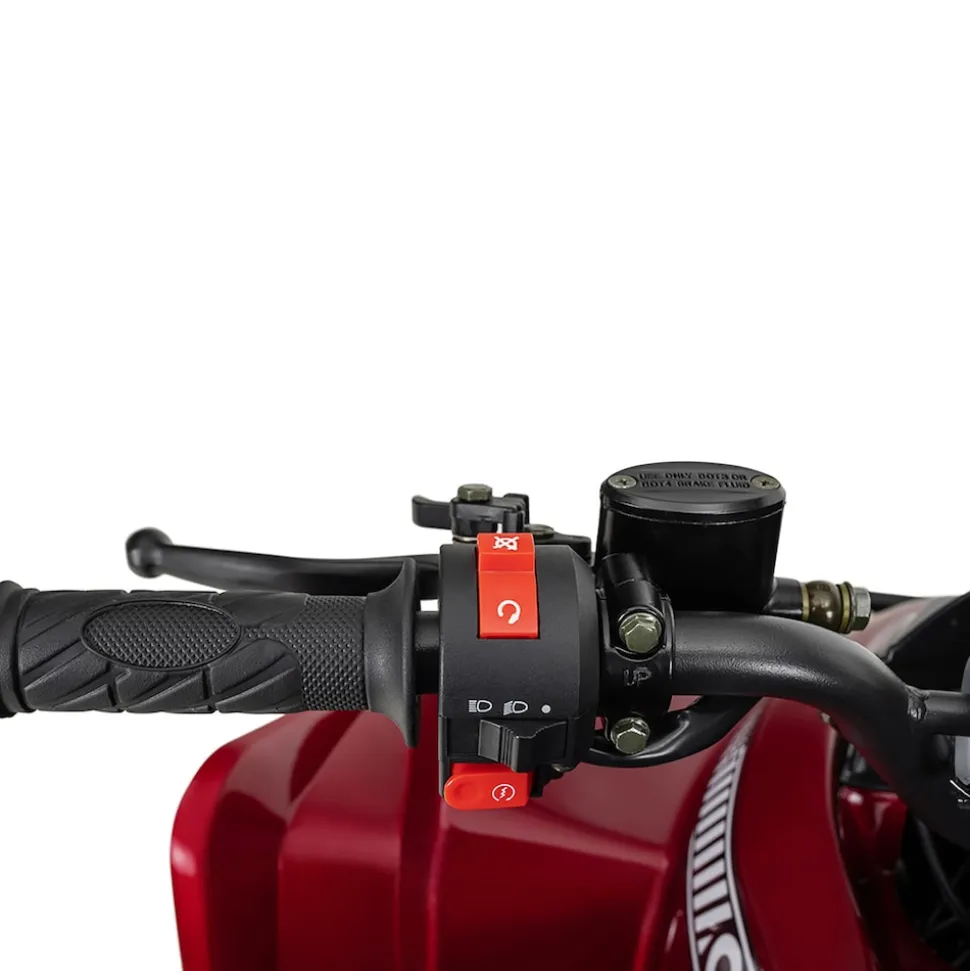 Benzin-Jugend-Quad S-10, 125ccm, ATV, Gepäckträger, Not-Aus-Leine, Halbautomatik, Scheibenbremse (Metallic/Rot)