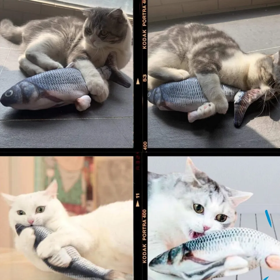 Best Direct® Katzenspielzeug zappelnder Fisch mit Katzenminze Magic Fish
