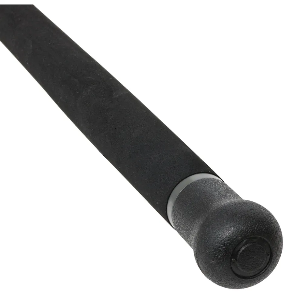 Black Cat Blade 2,65m 30Lbs Wels-Allroundrute