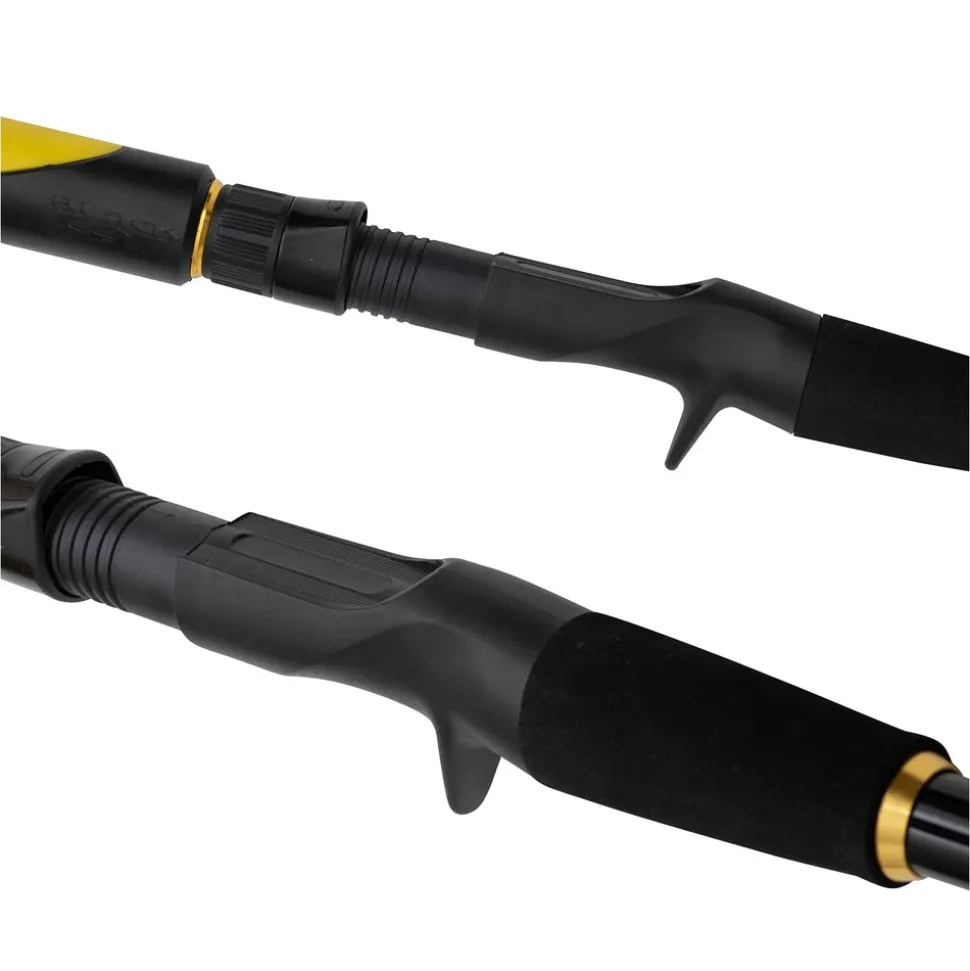 Black Cat Perfect Passion Allstar Cast 2,20m 30-130g Wels-Castingrute