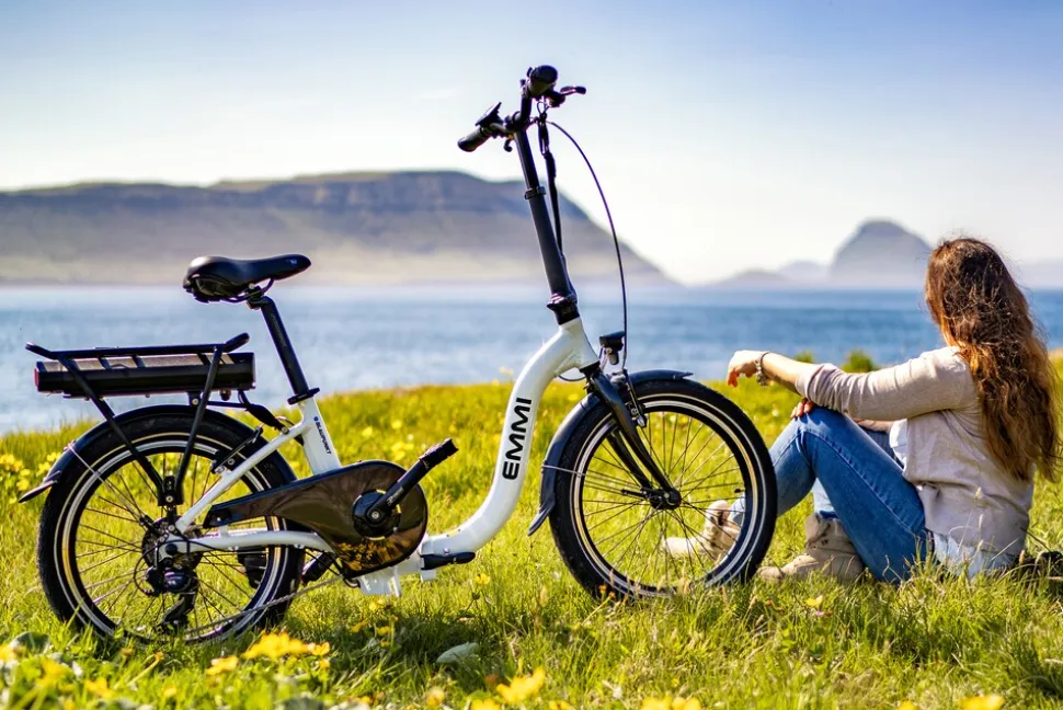 Blaupunkt EMMI 20 Zoll Falt-E-Bike