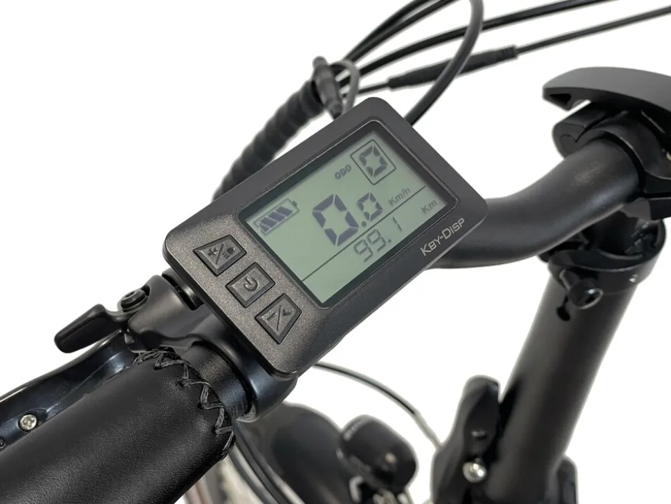 Blaupunkt EMMI 20 Zoll Falt-E-Bike