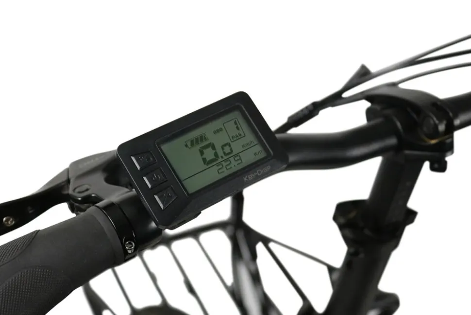 Blaupunkt ENNO 20 Zoll, Fat-Cargo Bike "Stylish, Fett, Faltbar"