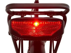 Blaupunkt LOTTE (Mod. 2024) 20 Zoll Tiefeinsteiger E-Bike