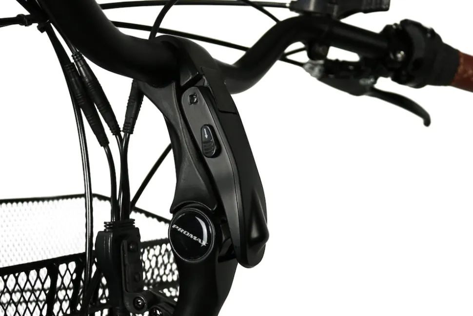 Blaupunkt MINNA Falt E-Trike Tiefeinsteiger