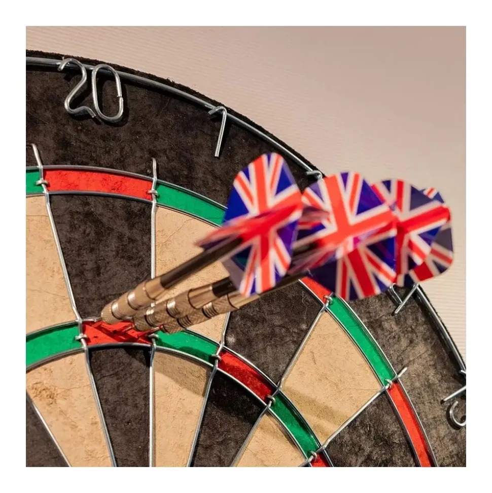 CARROMCO Steeldartboard Superplay, Bristle