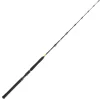 Daiwa BG Big Game 1.68m 20-30lbs Bootsrute