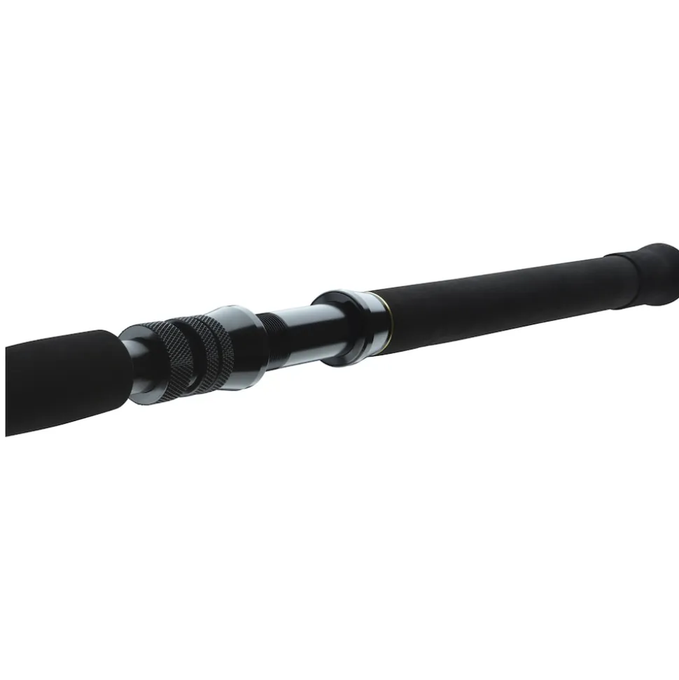 Daiwa BG Big Game 1.68m 20-30lbs Bootsrute
