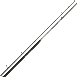 Daiwa Powermesh CF Boje 3,00m 150-400g Welsrute