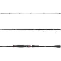 Daiwa Tournament AGS 2,70m 18-64g Spinnrute