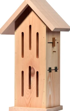 dobar Design-Schmetterlingshaus 
