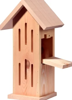 dobar Design-Schmetterlingshaus 