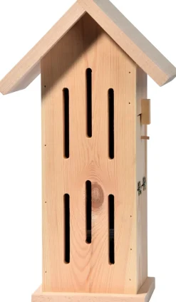 dobar Design-Schmetterlingshaus 