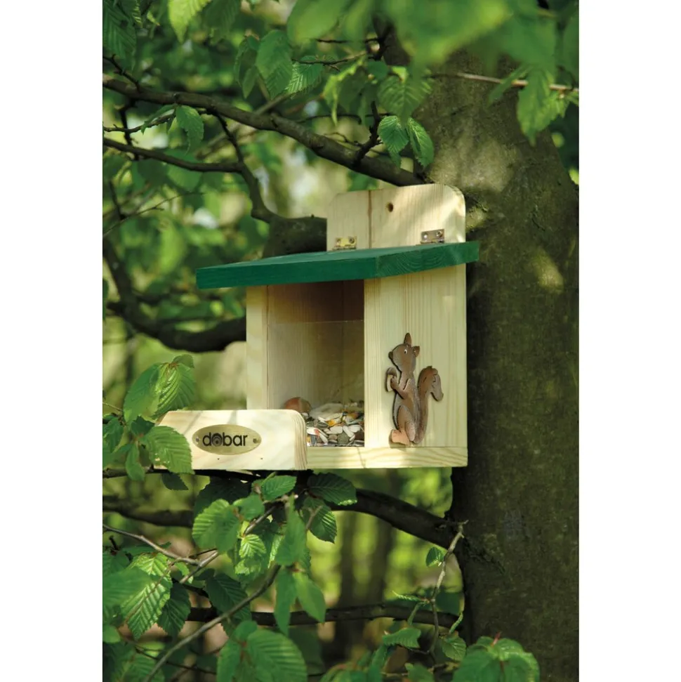 Dobar Eichhörnchen-Futterstation
