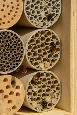 dobar Große Profi-Wildbienen-Nisthilfe 6 versch. Füllungen mit Schutzrahmen - versch. Ausführungen