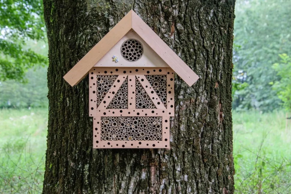 dobar Großes Insektenhotel Monschau