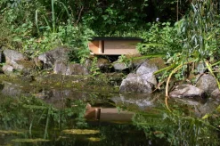 dobar Nistkasten für Bachstelzen
