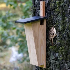 dobar Nistkasten für Baumläufer aus Holz