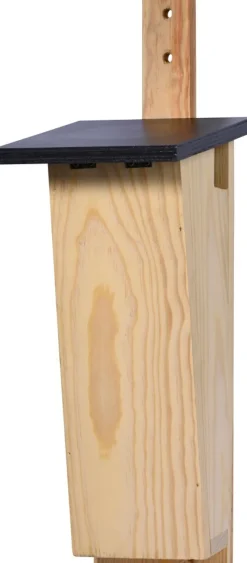 dobar Nistkasten für Baumläufer aus Holz