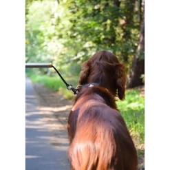 Dobar Walky Dog Plus Fahrradleine