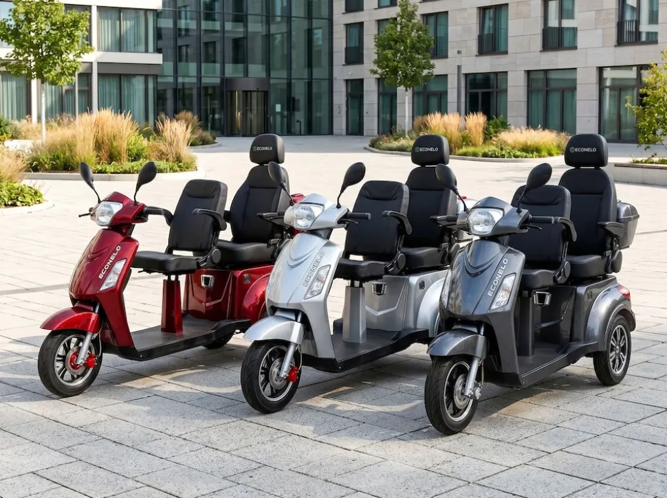 ECONELO E-Seniorenmobil Billy 2.0, Blei-Akku, 3-Rad, 60V, 1000 Watt, groß Sitz, Rot
