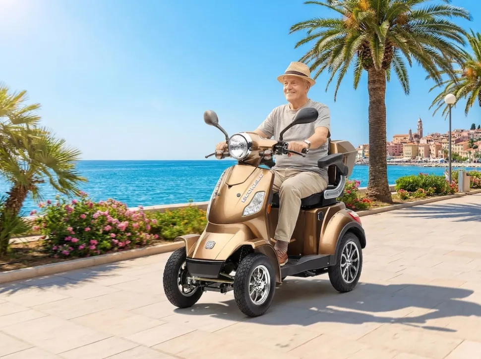 Econelo E-Seniorenmobil Voltrixx, Blei-Akku, 4-Rad, 1000 Watt, Braun