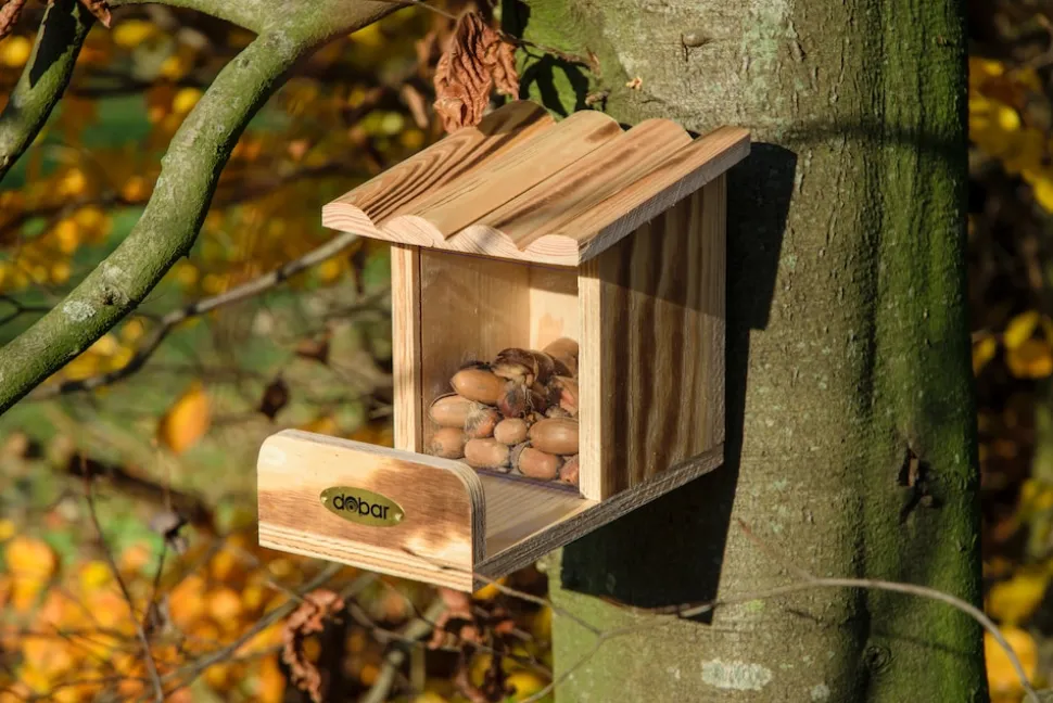 Eichhörnchen-Futterstation mit Futtersilo, Futterstelle aus Holz
