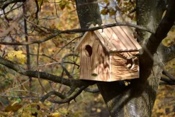 Eichhörnchenkobel mit 3 Eingängen, Unterschlupf für Eichhörnchen