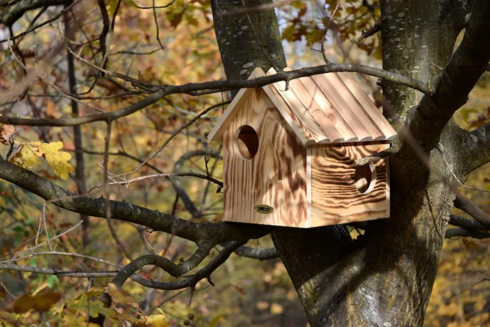 Eichhörnchenkobel mit 3 Eingängen, Unterschlupf für Eichhörnchen
