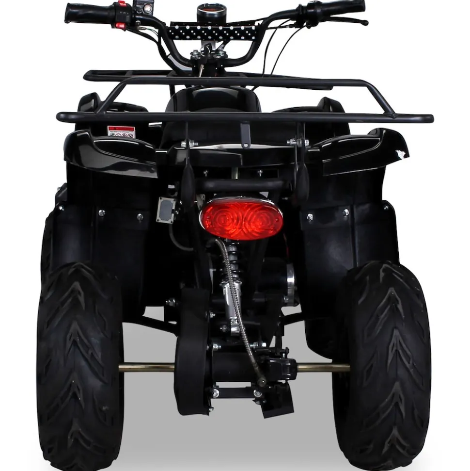 Elektro-Kinderquad S-8 Farmer, Midi-Quad mit 1000 Watt, Scheiben-/Trommelbremsen, bis 20 km/h, ab 8 (Schwarz)