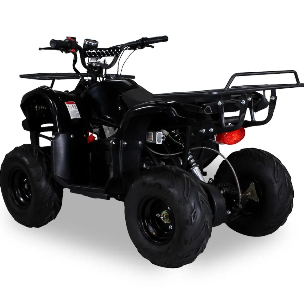 Elektro-Kinderquad S-8 Farmer, Midi-Quad mit 1000 Watt, Scheiben-/Trommelbremsen, bis 20 km/h, ab 8 (Schwarz)