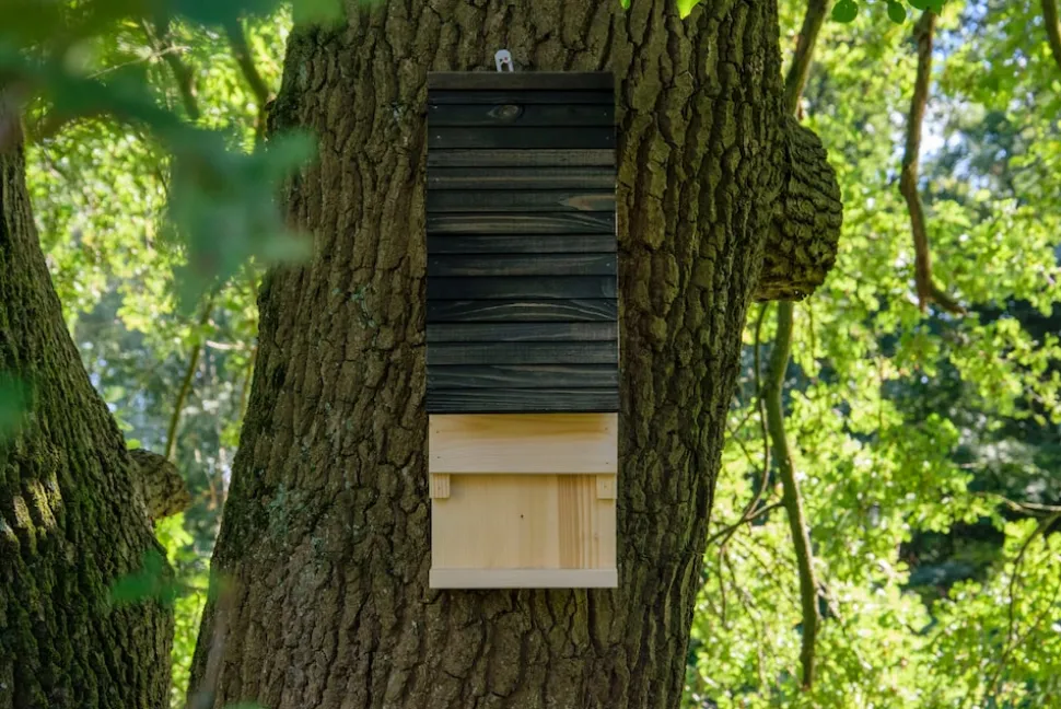 Fledermauskasten mit Belüftungsschlitzen, Nisthilfe zum Aufhängen