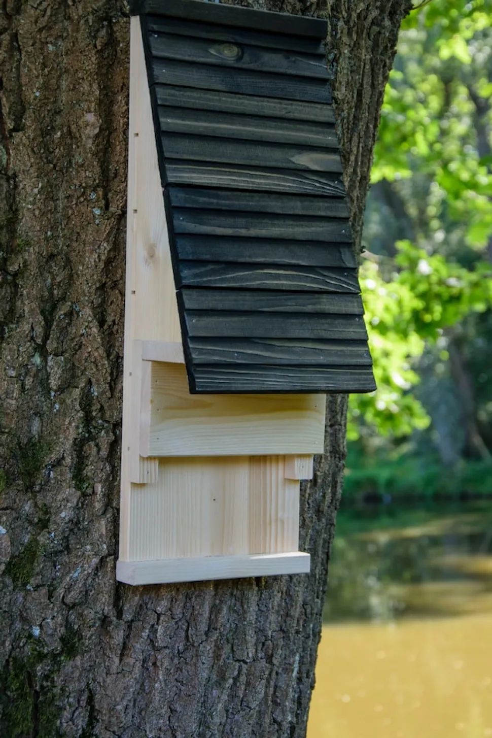 Fledermauskasten mit Belüftungsschlitzen, Nisthilfe zum Aufhängen