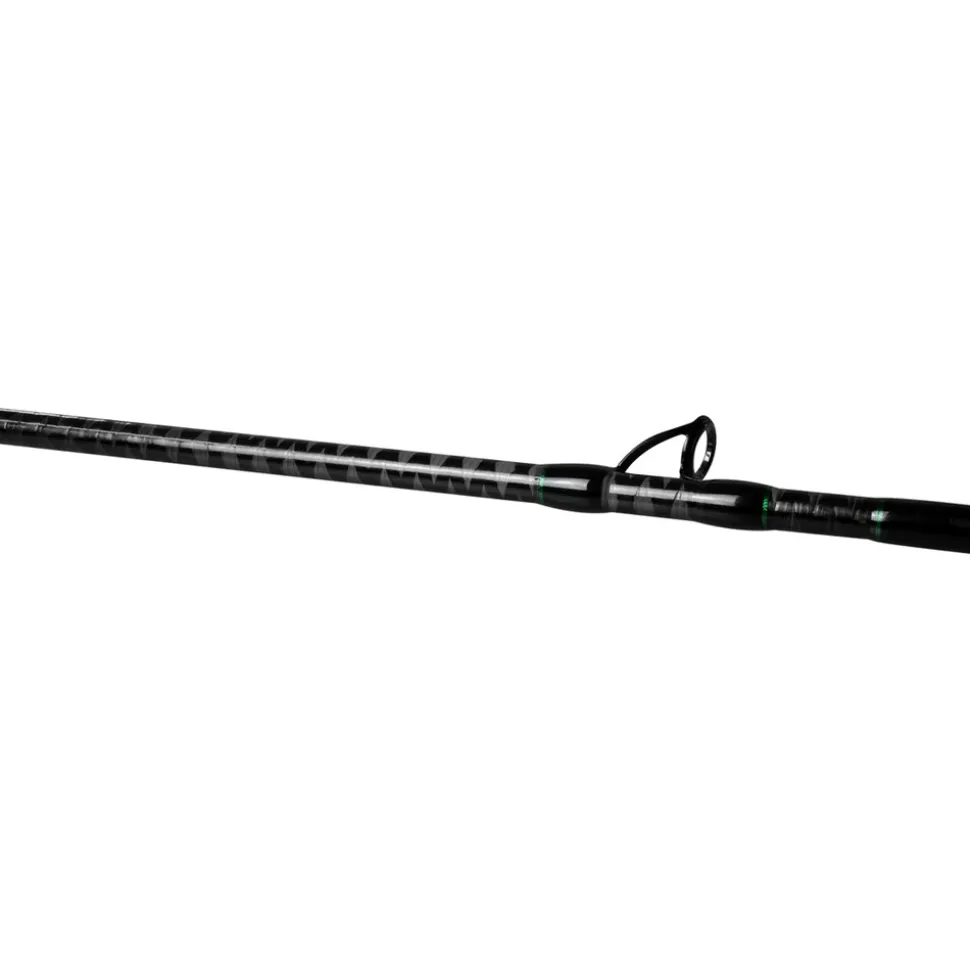 FTM Greenlight 2,40m 20-100g Aalrute