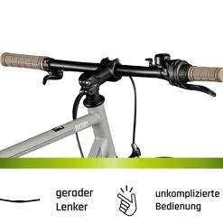 Galano GA301 Fitnessrad 28 Zoll 700c City Bike Stahlrahmen 3 Gang Nexus Rücktritt Fahrrad Urban Bike