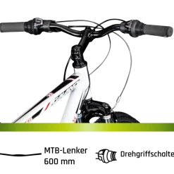Galano Path Mountainbike Jugendfahrrad ab 160 cm Fahrrad 26 Zoll für Mädchen Jungen oder Erwachsene MTB Hardtail 21 Gänge