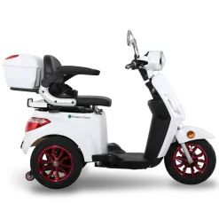 GreenStreet Elektromobil E-Mover 800 W 25 kmh inkl. Topcase