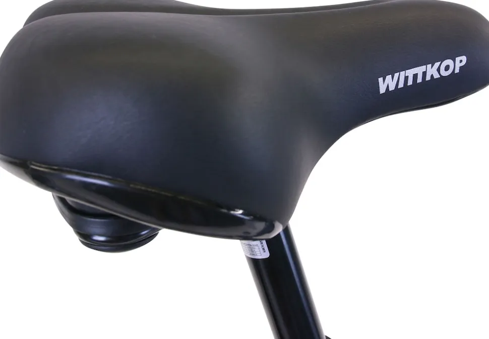 Hawk Citytrek Lady Deluxe Cityrad Damen 28 Zoll 53 cm Trapez - Anthrazit